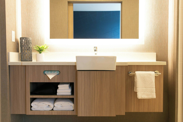 Bathroom, SpringHill Suites by Marriott South Bend Notre Dame Area, Saint Joseph