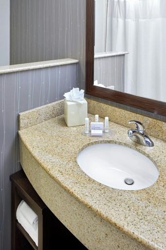 Bathroom 4, Courtyard by Marriott San Antonio Six Flags at The Rim, Bexar