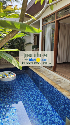 Swimming Pool 3