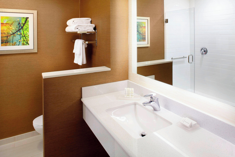 Bathroom 4, Fairfield by Marriott Inn & Suites Wheeling at The Highlands, Ohio