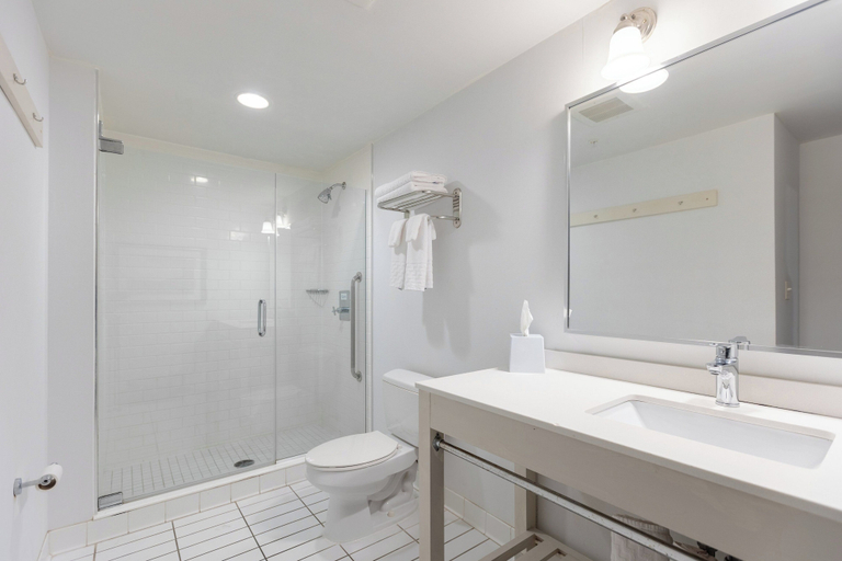 Bathroom 5, Crowne Plaza Niagara Falls NY - Riverside, Lake Ontario