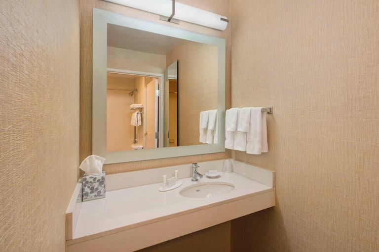Bathroom 4, SpringHill Suites by Marriott Mishawaka-University Area, Saint Joseph