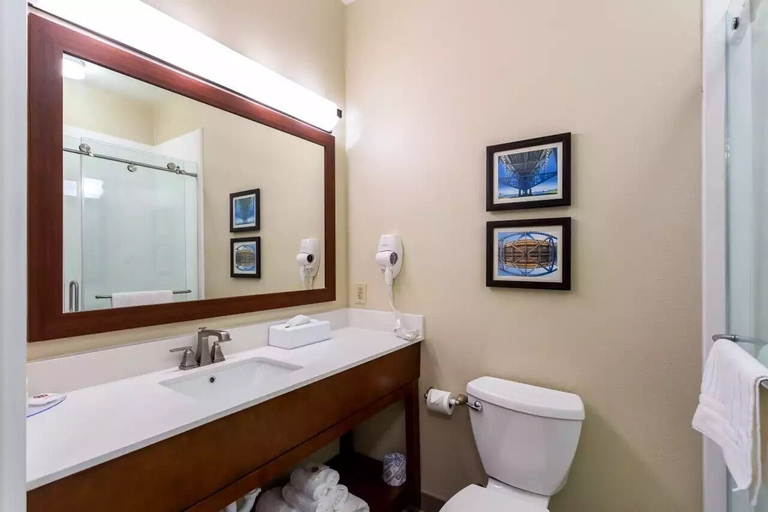 Bathroom 4, Sonesta Essential - Baton Rouge Airport, East Baton Rouge
