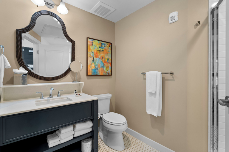 Bathroom 4, The Shepherd Hotel Downtown Clemson, Pickens