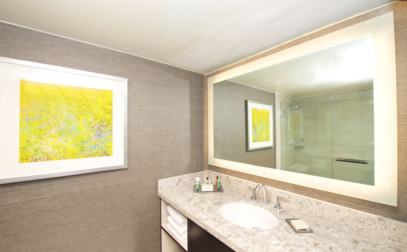 Bathroom 5, Hilton Orange County/Costa Mesa, Orange