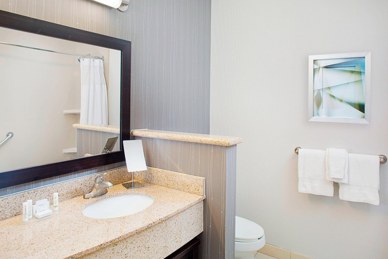 Bathroom 5, Courtyard by Marriott San Antonio SeaWorld - Westover Hills, Bexar