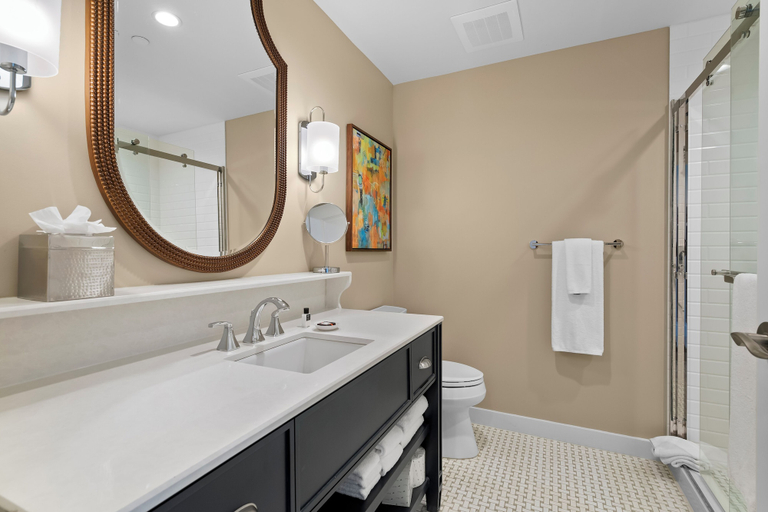 Bathroom 4, The Shepherd Hotel Downtown Clemson, Pickens