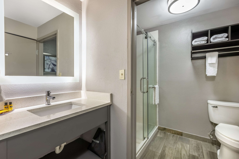 Bathroom 5, Best Western Plus Spartanburg, Spartanburg