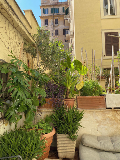 Exterior & Views 2, Il Plancton, Rome