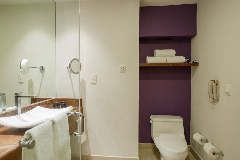 Bathroom 3, Camino Real Pedregal Mexico, Mexico City