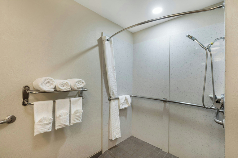 Bathroom 5, City Express by Marriott Duluth, Gwinnett