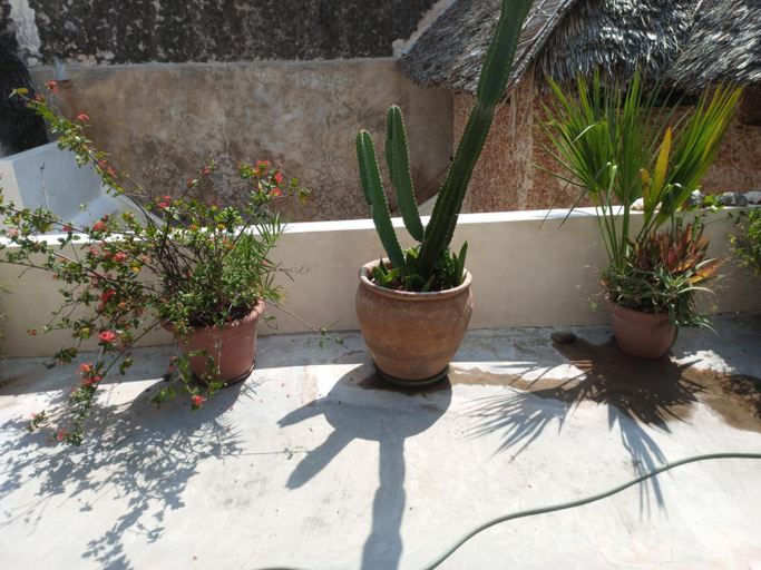 Others 2, Madakani House, Lamu West