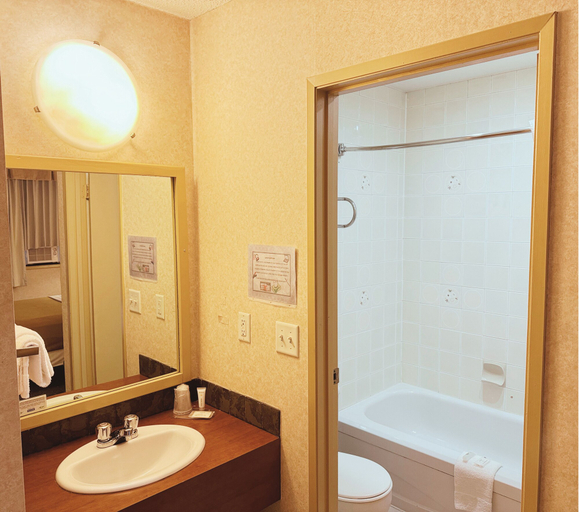 Bathroom, Langley Hwy Hotel, Greater Vancouver