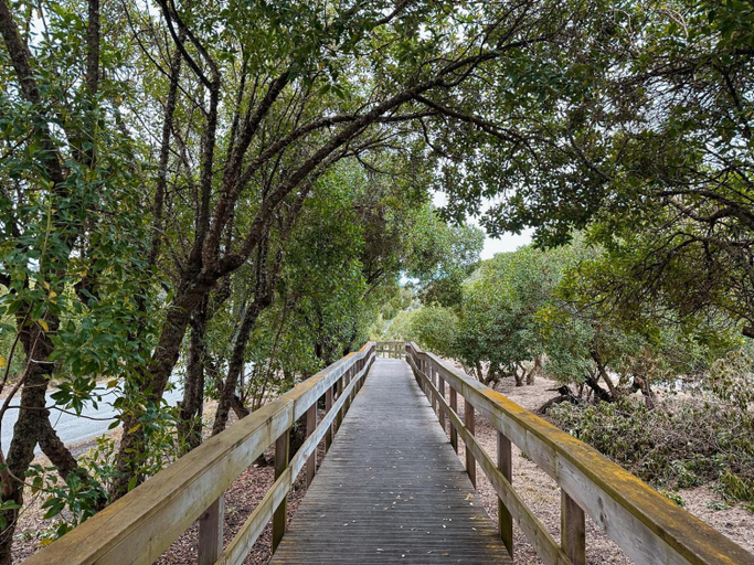 Surrounding environment