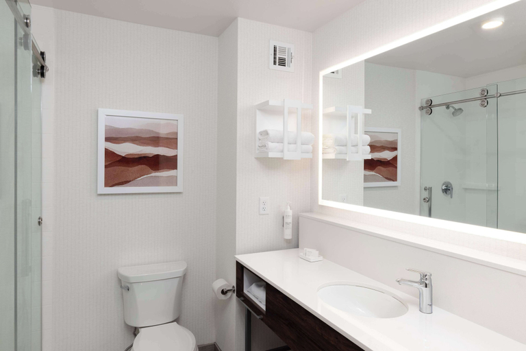 Bathroom 5, Hampton Inn & Suites Yuba City, Sutter