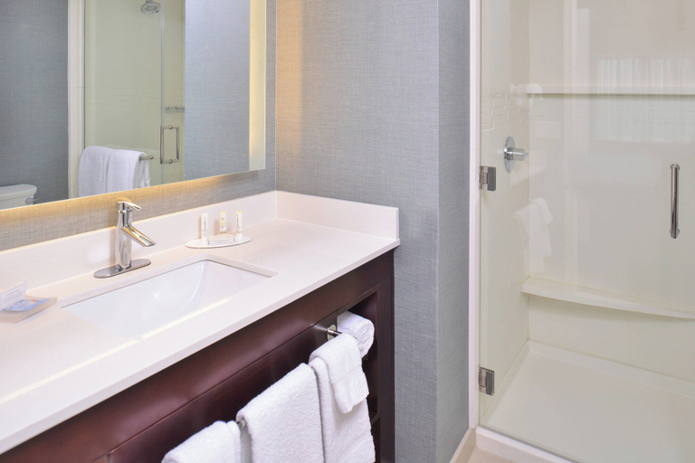 Bathroom 5, Residence Inn Cedar Rapids South, Linn