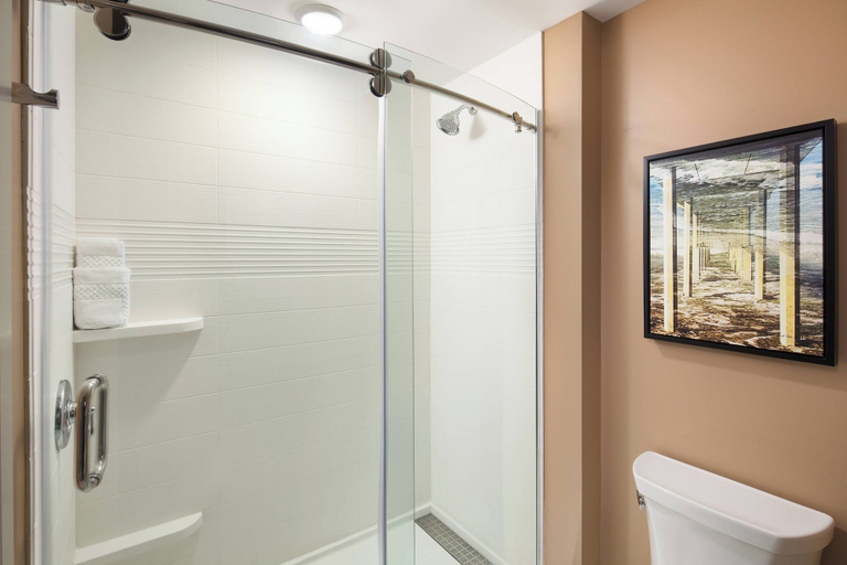 Bathroom 4, TownePlace Suites by Marriott San Diego Downtown, San Diego