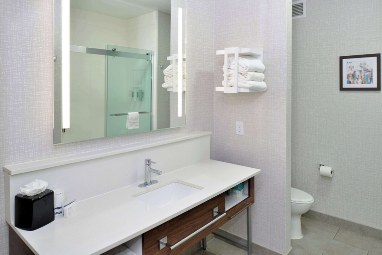 Bathroom 4, Hampton Inn & Suites Greenville, Hunt