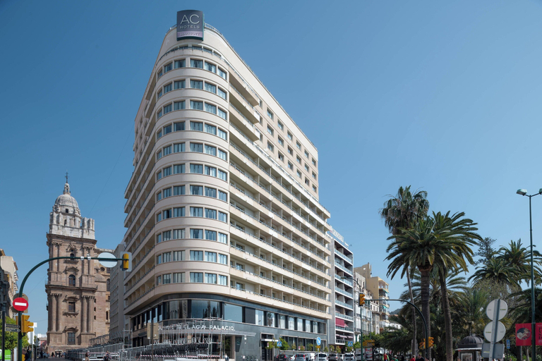 Exterior & Views 2, AC Hotel Málaga Palacio by Marriott, Málaga