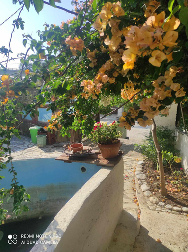 Sport & Beauty, Gabriellas Garden, Crete