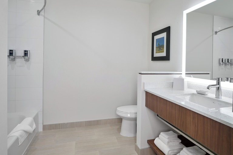 Bathroom 4, Four Points by Sheraton Edmonton West, Division No. 11