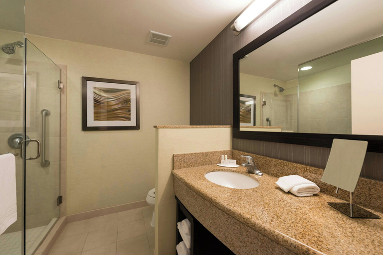 Bathroom 4, Courtyard Marriott Clemson, Pickens
