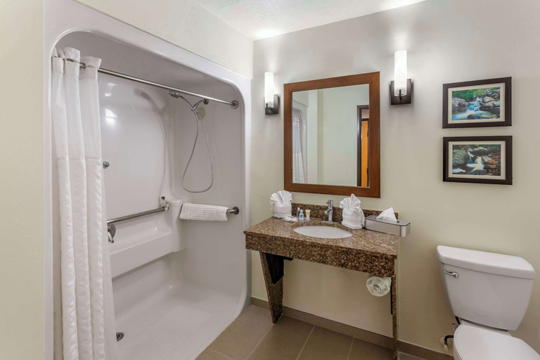 Bathroom 4, Comfort Suites Ogden Conference Center, Weber