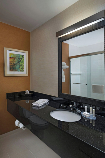 Bathroom 5, Fairfield Inn by Marriott Joplin, Newton