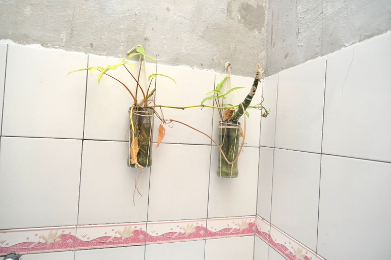 Bathroom 2, Aurora Living Merapi Jogja, Sleman