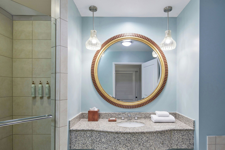 Bathroom 5, Renaissance Birmingham Ross Bridge Golf Resort & Spa, Jefferson