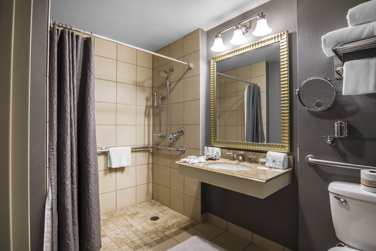 Bathroom 4, Renaissance Dallas North Hotel, Dallas