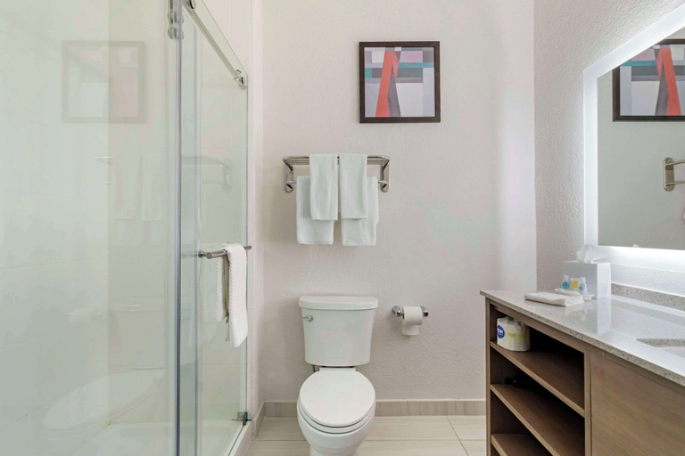 Bathroom 4, Comfort Suites Laredo - Nuevo Laredo, Webb