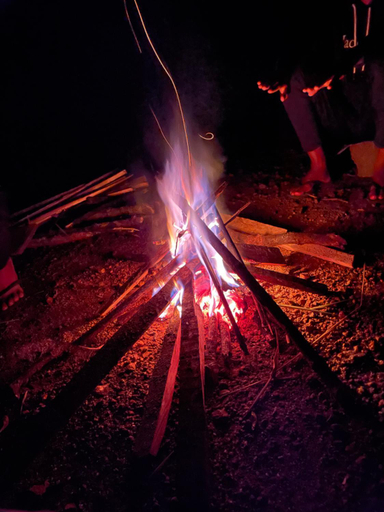 Others 3, Campinglyfe, Hali-Ela