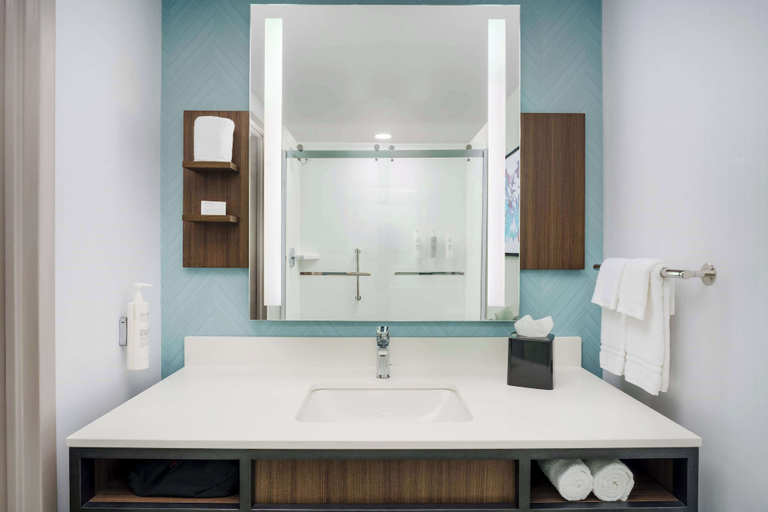 Bathroom 4, Hilton Garden Inn Lake Mary, Seminole