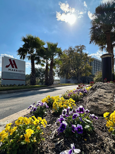 Exterior & Views 2, Marriott Jacksonville, Duval