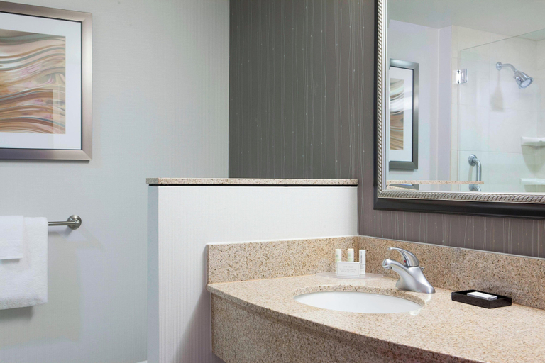 Bathroom 4, Courtyard Marriott Ankeny, Polk