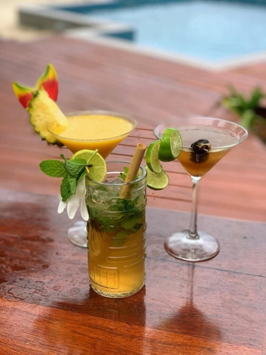 Food & Drinks 5, Exclusive Sunrise Eco Resort, South East Santo