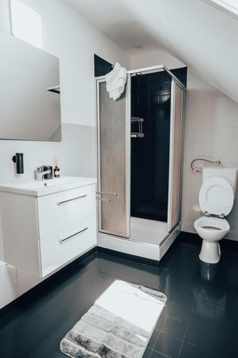 Bathroom 5, Repeat Racing Rooms, Vulkaneifel
