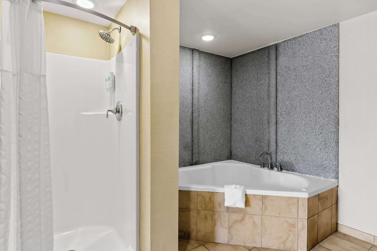 Bathroom 4, Comfort Suites Salem-Roanoke I-81, Salem