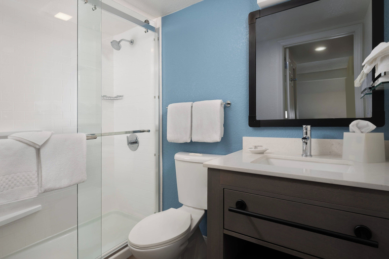 Bathroom 4, Residence Inn By Marriott Sunnyvale Silicon Valley, Santa Clara