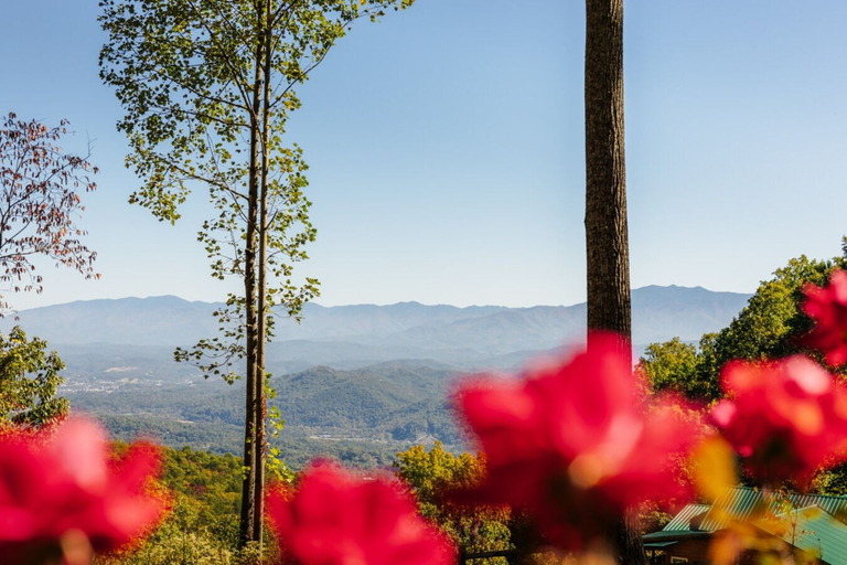 Others 5, Skyview Serenity by Ghosal Luxury Lodging, Sevier