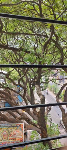 Others 3, ROYAL N COMFORTS, Bangalore