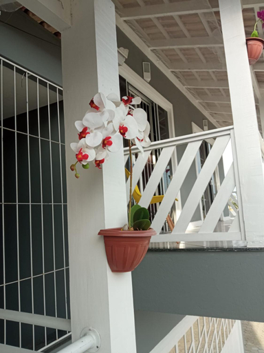 Others 4, Hostel e Pousada Orquidea, Araquari