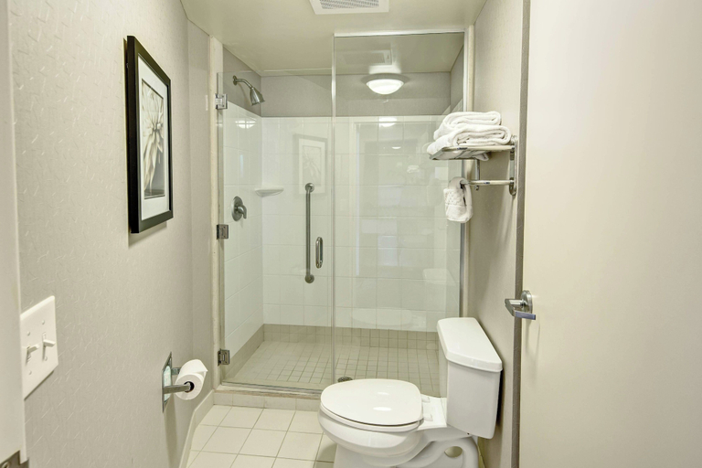 Bathroom 4, Springhill Suites by Marriott New Bern, Craven