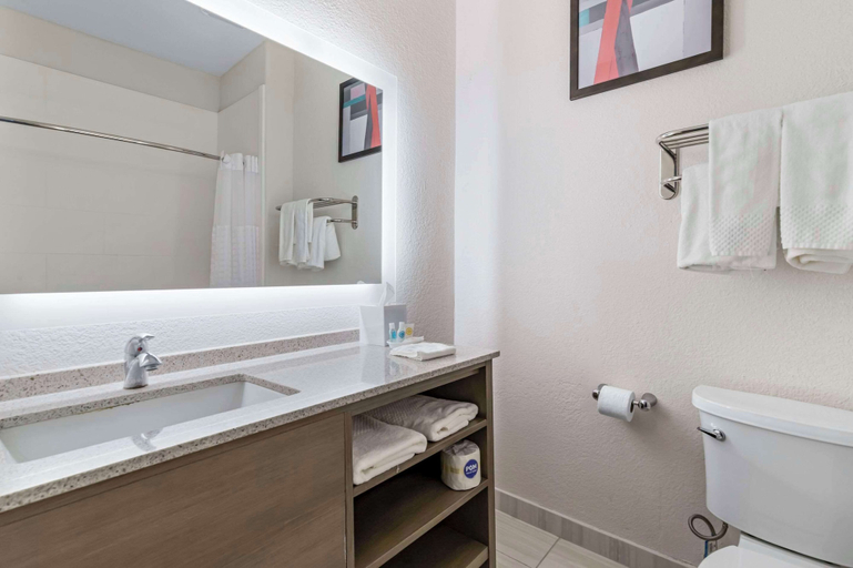 Bathroom 4, Comfort Suites Laredo - Nuevo Laredo, Webb