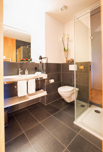 Bathroom 3, Hotel Rhy, Rheintal