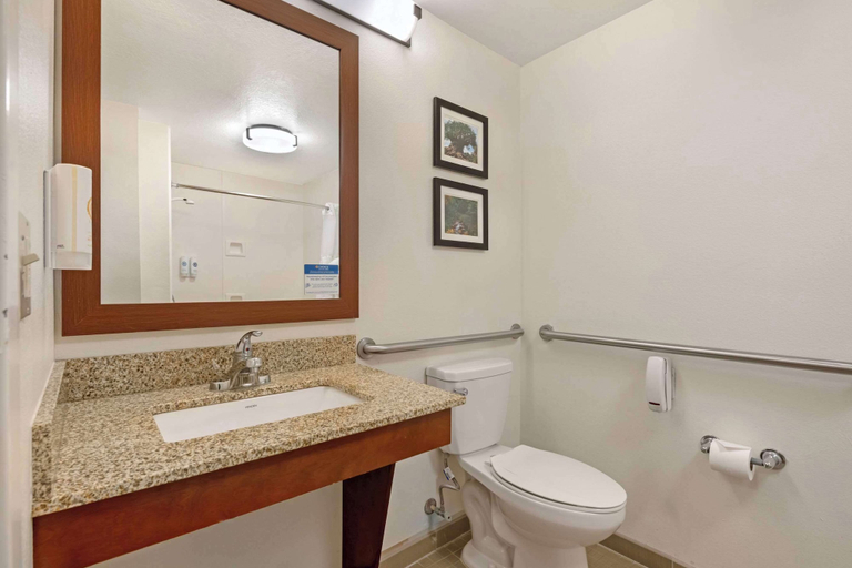 Bathroom 4, Comfort Suites Downtown, Orange