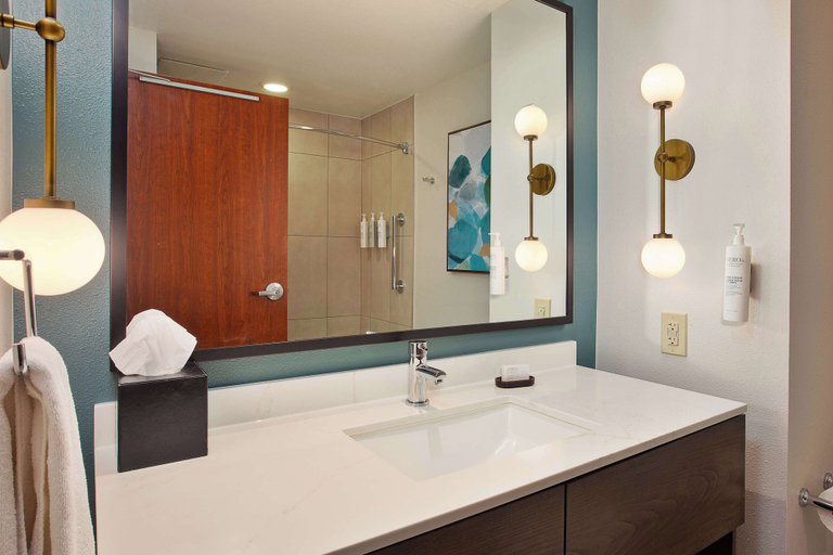 Bathroom 4, Embassy Suites by Hilton San Marcos Hotel Conference Center, Hays