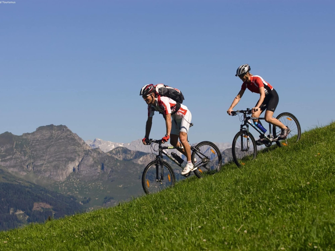 Others 4, Apartment in ski Area in Leogang With Sauna, Zell am See