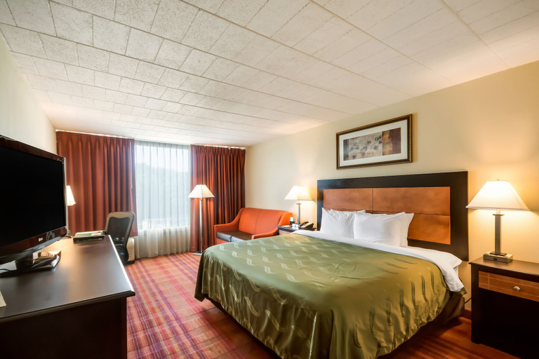 Bedroom 4, Chester Hotel & Conference Center, Chester